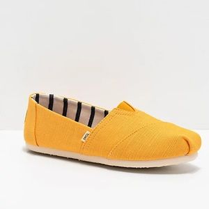 Tom’s Yellow Canvas